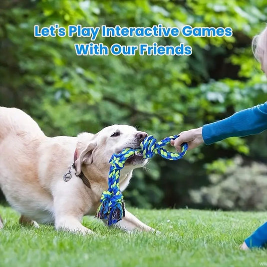 Dental Tug Toy