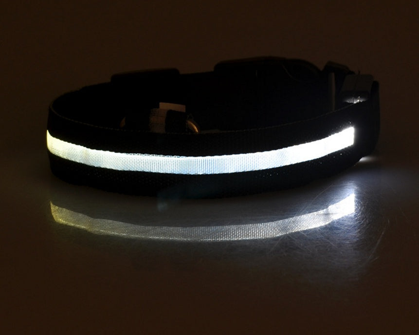 Durable LED Dog & Cat Collar