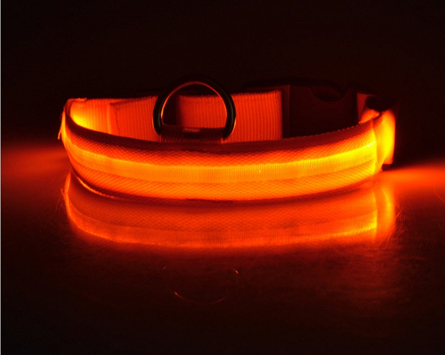 Durable LED Dog & Cat Collar