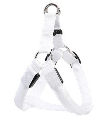 LED Luminous Dog Harness & Leash