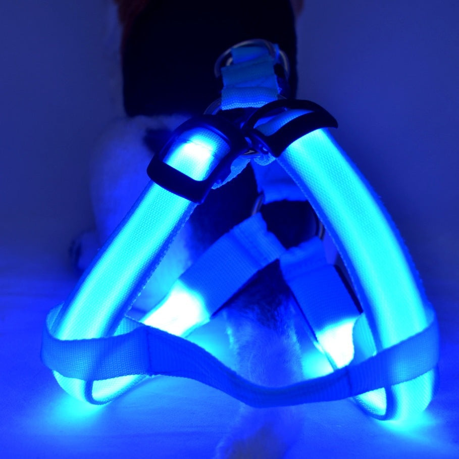 LED Luminous Dog Harness & Leash