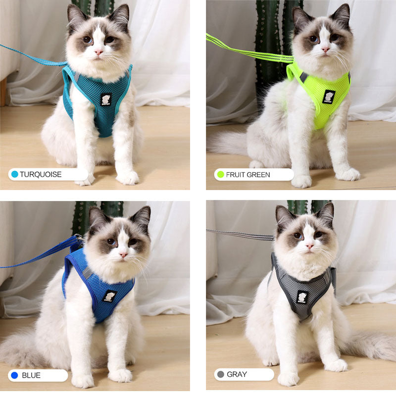 Anti-Pull Cat Harness