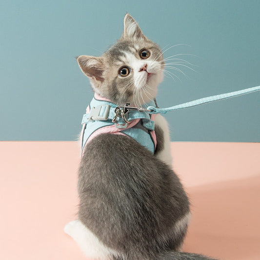 Cat Walking Harness with Chest Strap