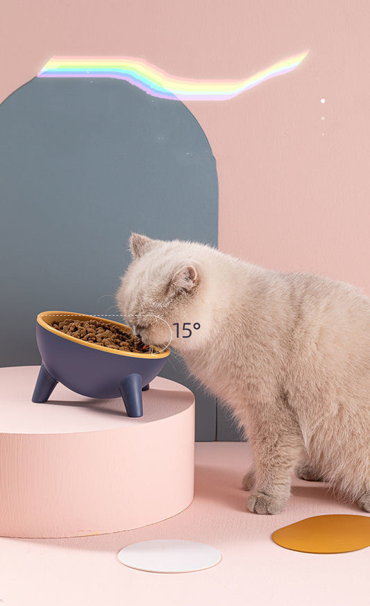 Cat&Dog Bowl With Stand Pet Feeding