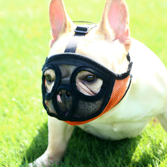 French Bulldog Dog Basket Muzzle