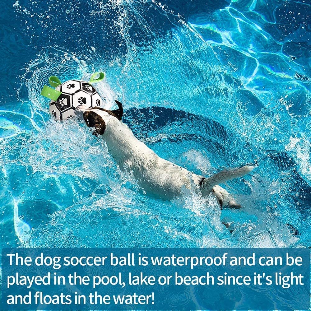 Pet Soccer Ball with Tabs