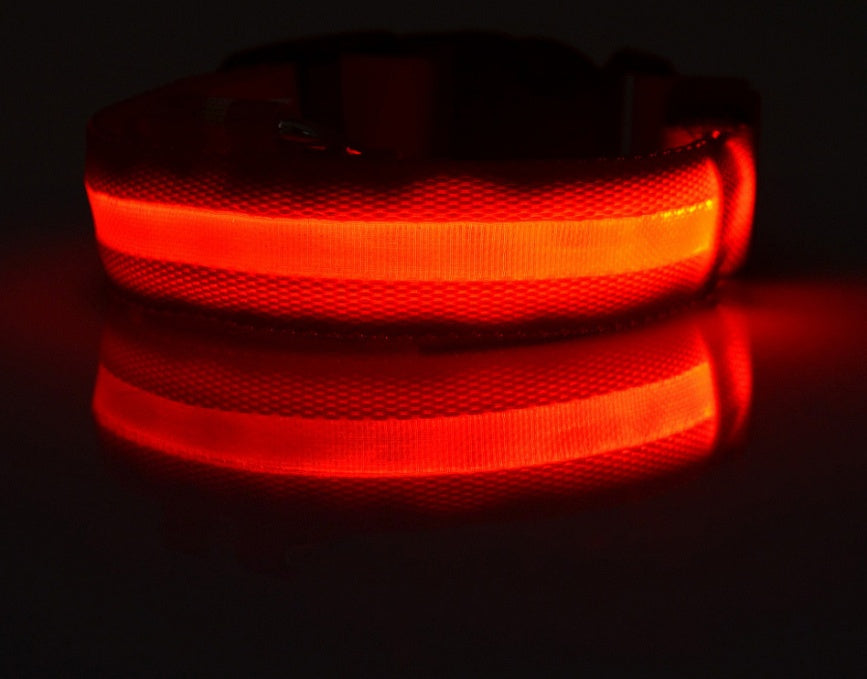 Durable LED Dog & Cat Collar
