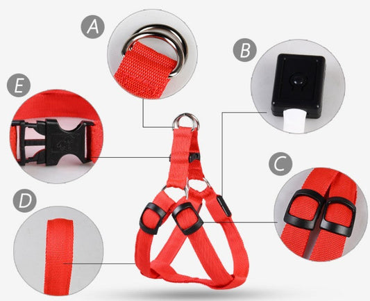 LED Luminous Dog Harness & Leash