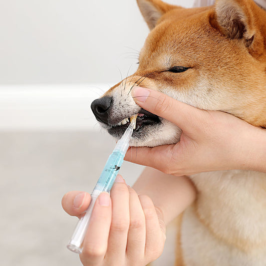 Teeth Cleaning Pen Kit