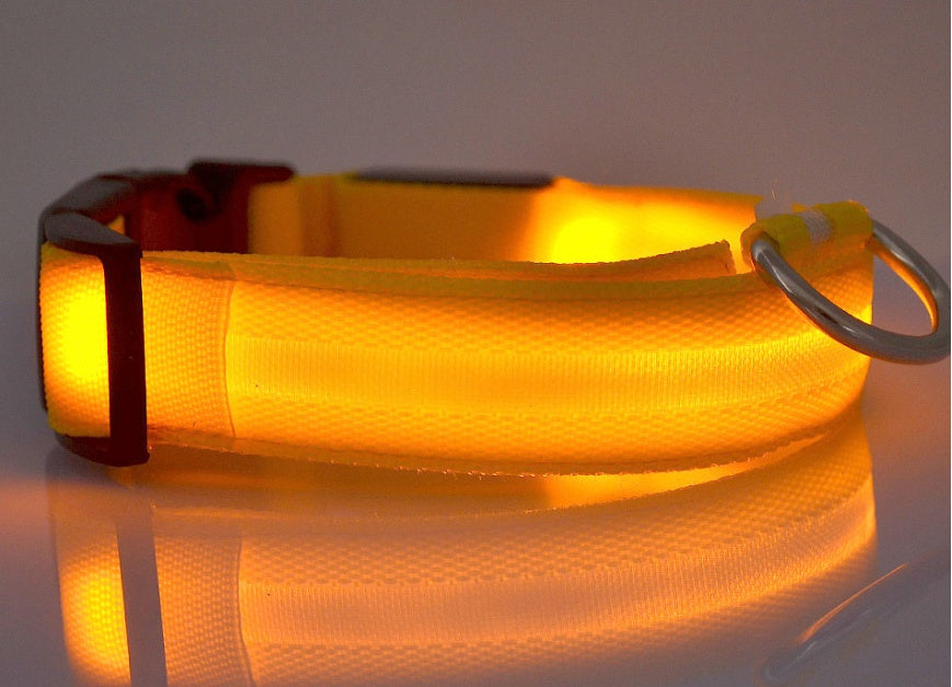 Durable LED Dog & Cat Collar