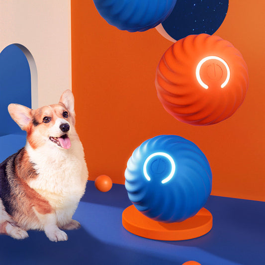 Self-Moving Dog Ball