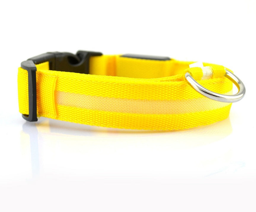 Durable LED Dog & Cat Collar