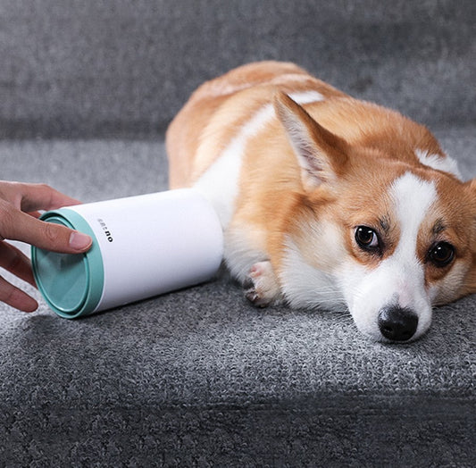Pet Paw Cleaner Cup Soft Silicone Comb