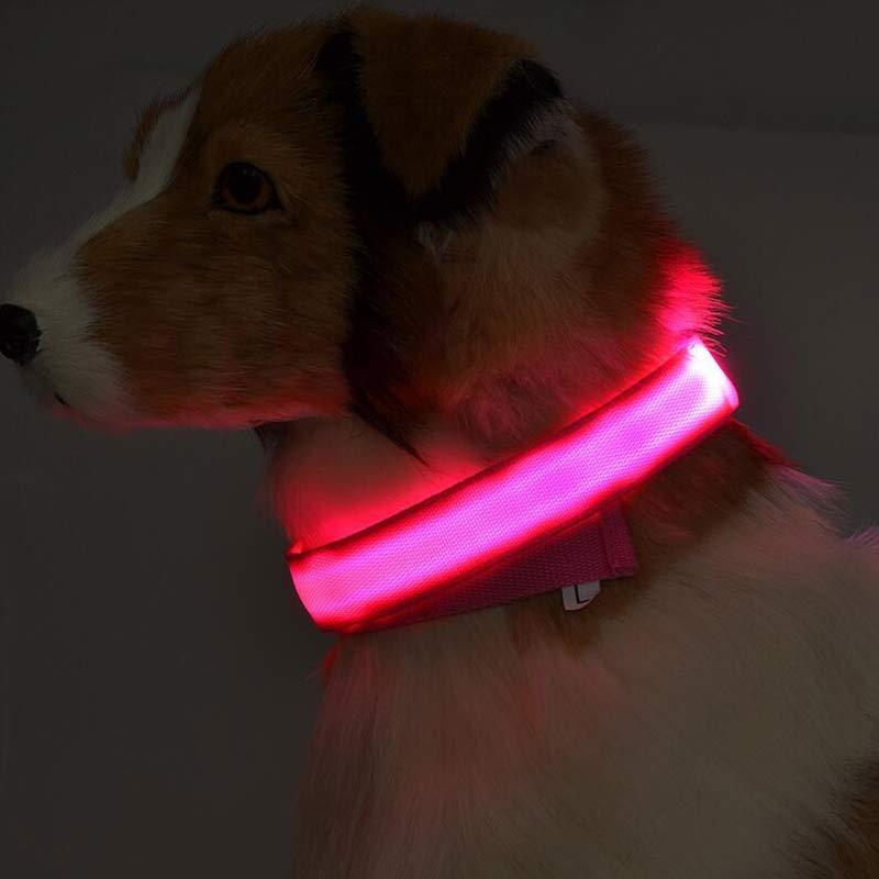 Durable LED Dog & Cat Collar