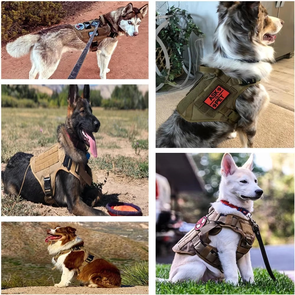Nylon Camouflage Dog Harness