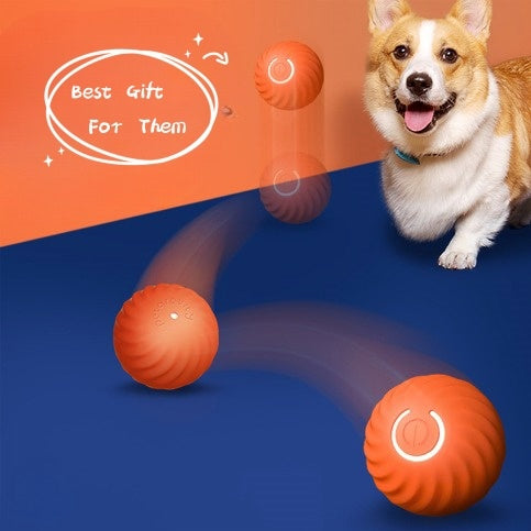 Self-Moving Dog Ball