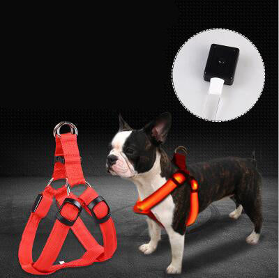 LED Luminous Dog Harness & Leash
