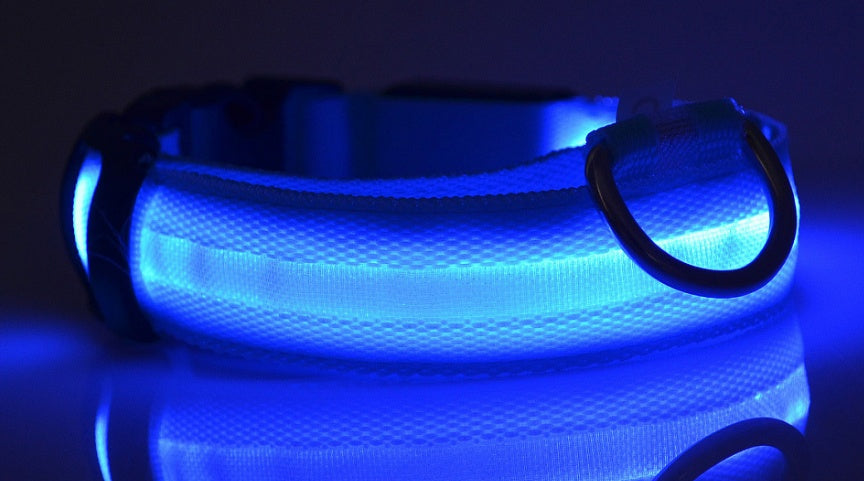 Durable LED Dog & Cat Collar