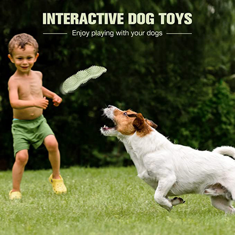 Chew Teeth Stick Dog
