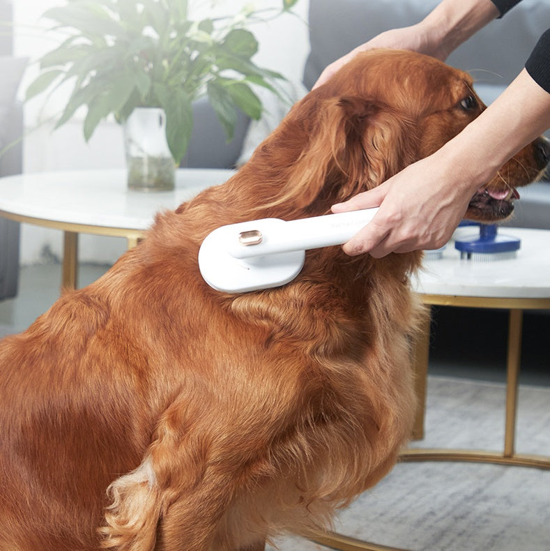 Pet Hair Removal