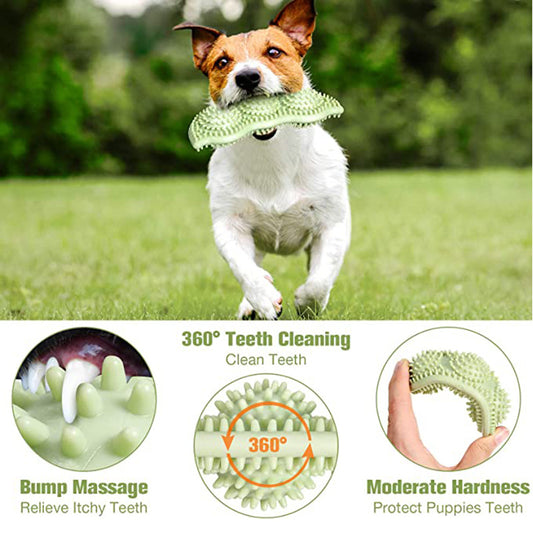 Chew Teeth Stick Dog