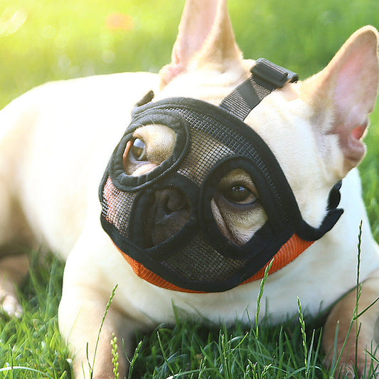 French Bulldog Dog Basket Muzzle