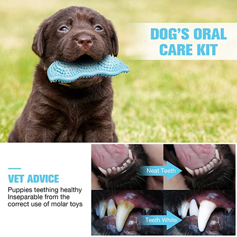 Chew Teeth Stick Dog