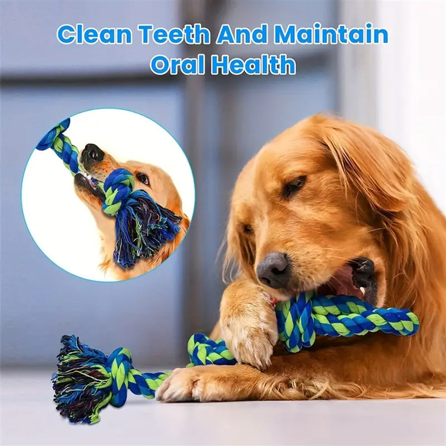 Dental Tug Toy