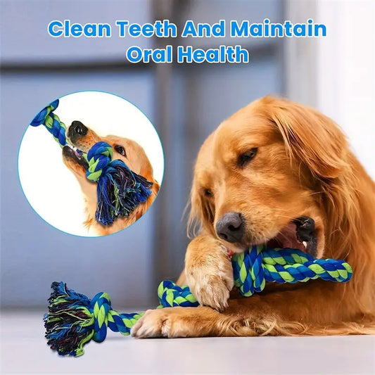 Dental Tug Toy