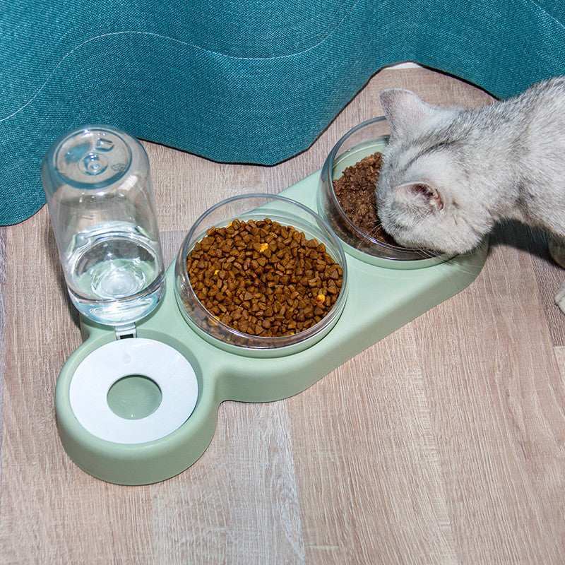 Double Bowl Dog Cat Food Bowl With Water