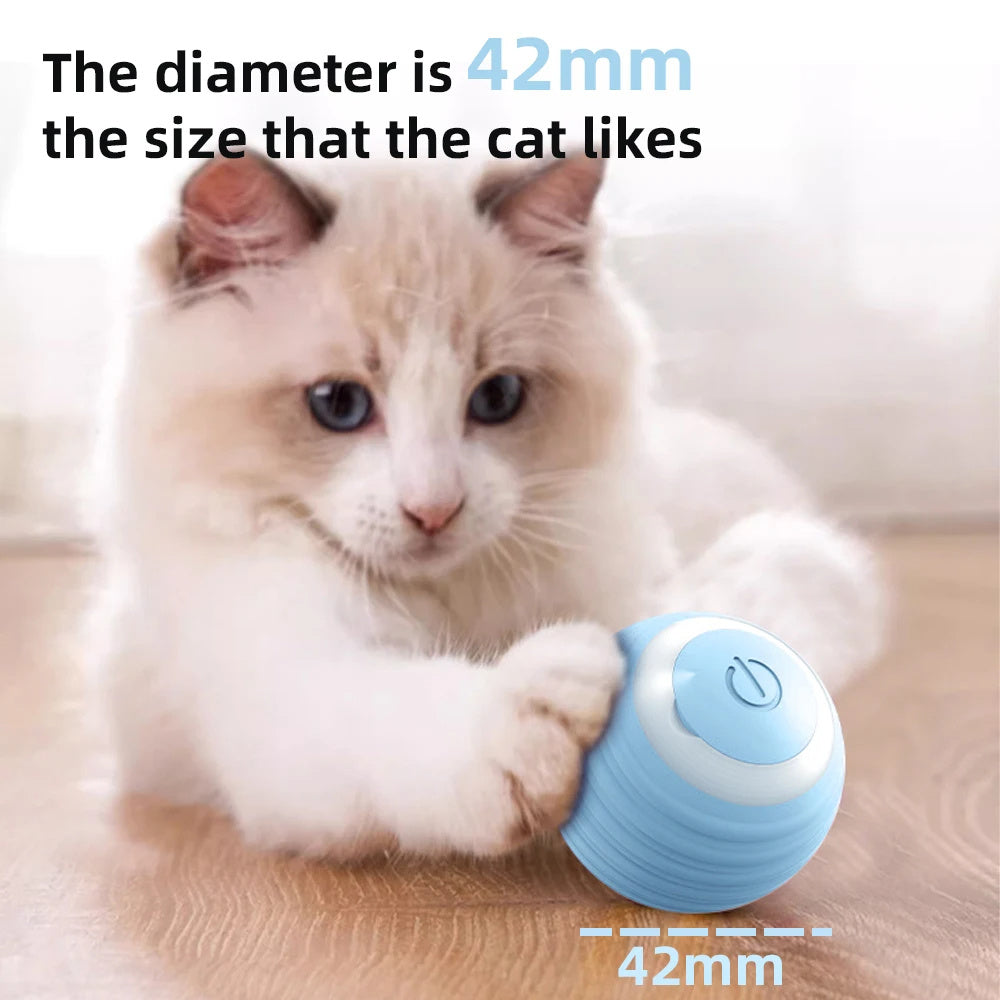 Cat Interactive Ball