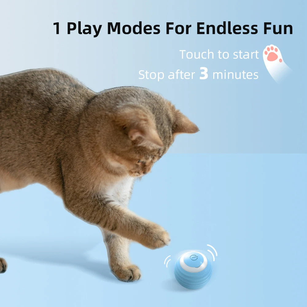 Cat Interactive Ball