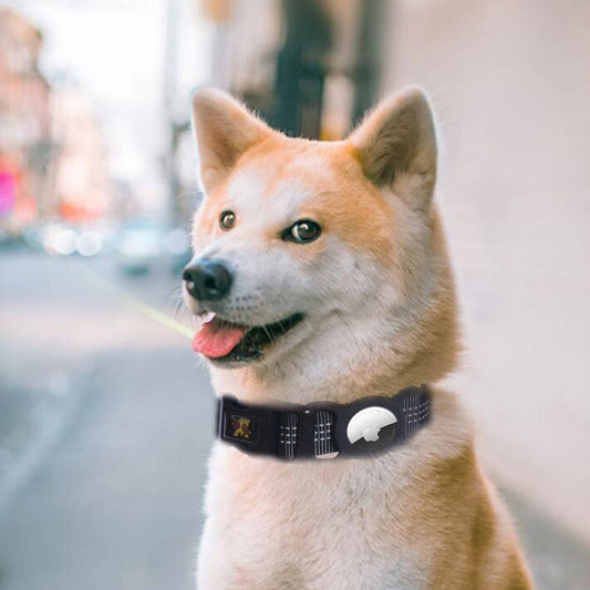 AirTag Pet Tracker Case
